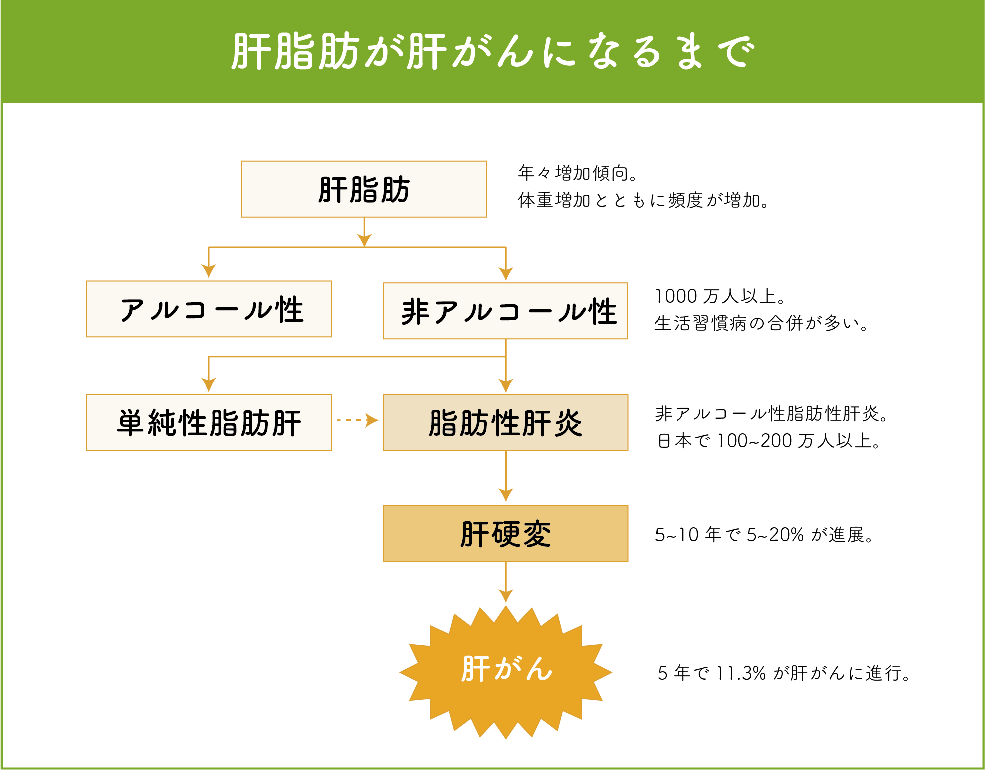 肝脂肪が肝がんになるまで