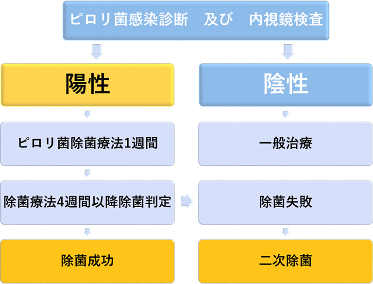 ピロリ菌感染診断及び内視鏡検査